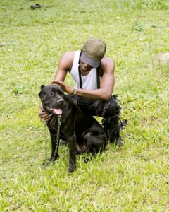 A man kneeling on grass affectionately petting his Cane Corso dog in a serene outdoor setting.