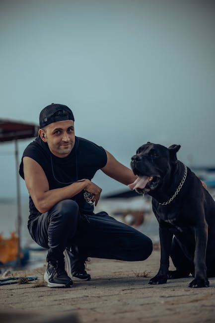 A stylish man crouches beside a Cane Corso dog on the beach, exuding modern charm.